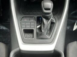 2021 Toyota RAV4 LE full