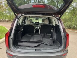 2021 Kia Telluride EX full