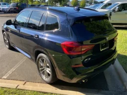 2021 BMW X3 xDrive30i full