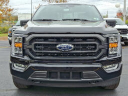 2023 Ford F-150 XLT 4WD full