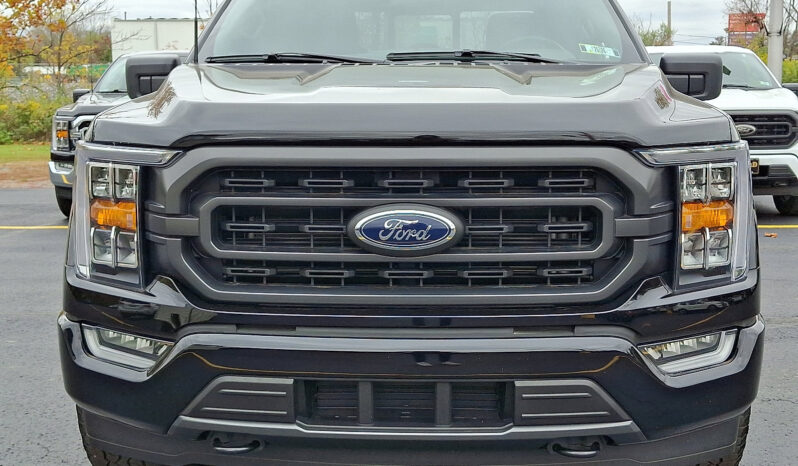 2023 Ford F-150 XLT 4WD full
