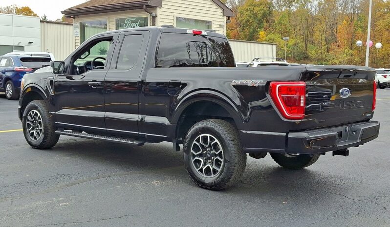 2023 Ford F-150 XLT 4WD full