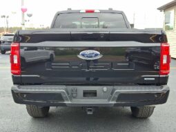 2023 Ford F-150 XLT 4WD full