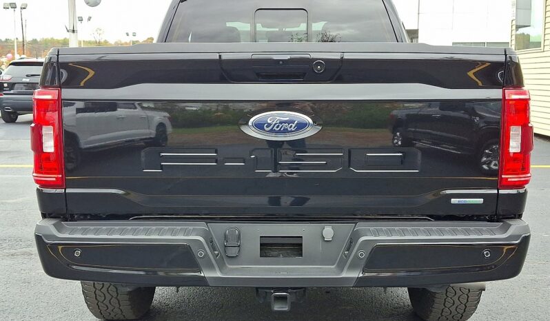 2023 Ford F-150 XLT 4WD full