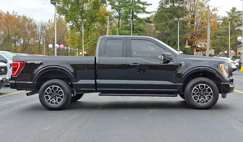 2023 Ford F-150 XLT 4WD full