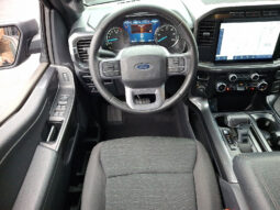 2023 Ford F-150 XLT 4WD full