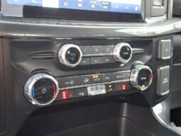 2023 Ford F-150 XLT 4WD full