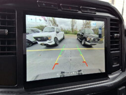 2023 Ford F-150 XLT 4WD full