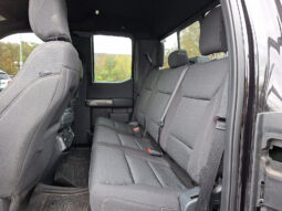 2023 Ford F-150 XLT 4WD full