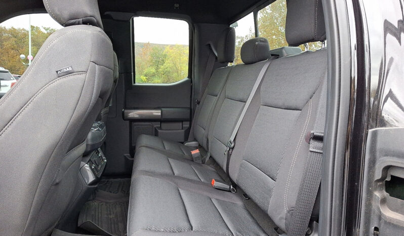 2023 Ford F-150 XLT 4WD full