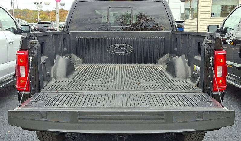 2023 Ford F-150 XLT 4WD full