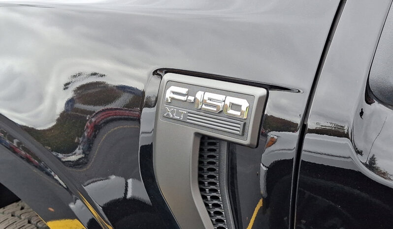 2023 Ford F-150 XLT 4WD full