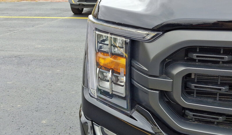 2023 Ford F-150 XLT 4WD full