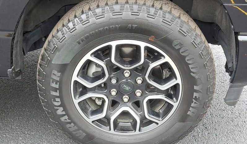2023 Ford F-150 XLT 4WD full