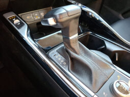 2024 Kia Sorento X-Line SX AWD full