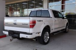 2013 Ford F-150 Platinum Heavy Duty full