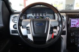 2013 Ford F-150 Platinum Heavy Duty full