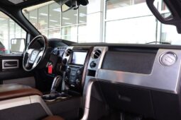2013 Ford F-150 Platinum Heavy Duty full
