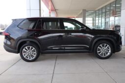 2025 Toyota Grand Highlander Platinum AWD full