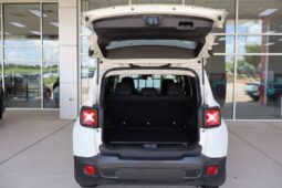 2019 Jeep Renegade Latitude full
