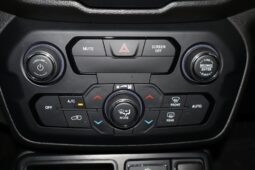 2019 Jeep Renegade Latitude full
