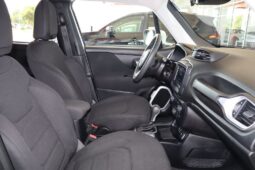 2019 Jeep Renegade Latitude full
